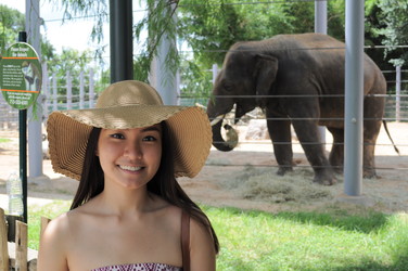 Houston Zoo