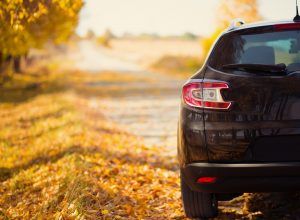 A car drives on a country road as autumn leaves fall to the ground.
