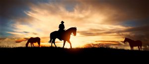 A man rides his horse in front of a Kansas sunset.