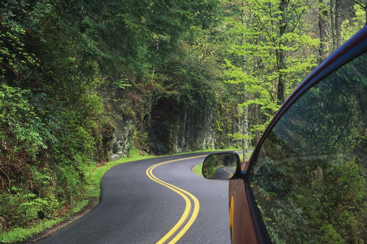 Car drives on a winding road in the woods.